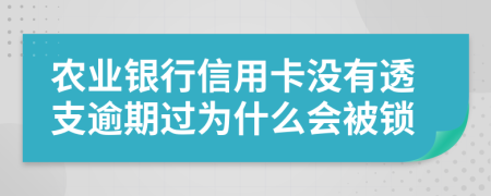 農(nóng)業(yè)銀行信用卡沒有透支逾期過為什么會被鎖