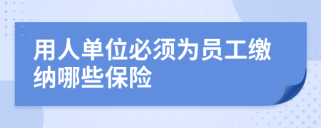 用人單位必須為員工繳納哪些保險