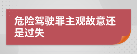 危險(xiǎn)駕駛罪主觀故意還是過失