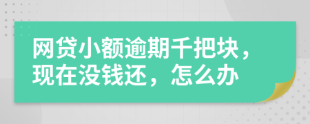網(wǎng)貸小額逾期千把塊，現(xiàn)在沒錢還，怎么辦