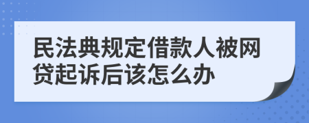 民法典規(guī)定借款人被網(wǎng)貸起訴后該怎么辦
