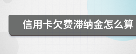 信用卡欠費(fèi)滯納金怎么算