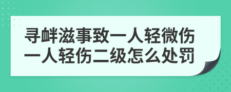 尋釁滋事致一人輕微傷一人輕傷二級怎么處罰