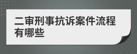 二審刑事抗訴案件流程有哪些