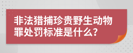 非法獵捕珍貴野生動物罪處罰標(biāo)準(zhǔn)是什么？