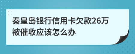 秦皇島銀行信用卡欠款26萬被催收應(yīng)該怎么辦