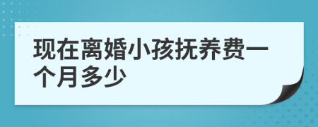 現(xiàn)在離婚小孩撫養(yǎng)費一個月多少