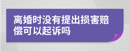 離婚時(shí)沒有提出損害賠償可以起訴嗎