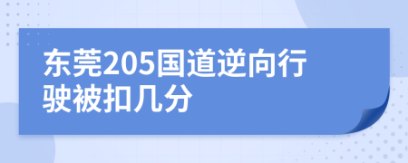 東莞205國道逆向行駛被扣幾分