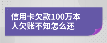 信用卡欠款100萬本人欠賬不知怎么還