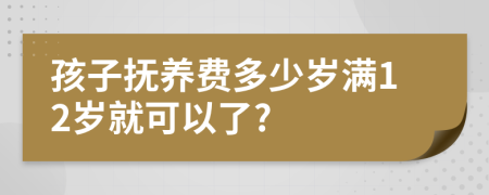 孩子撫養(yǎng)費多少歲滿12歲就可以了?