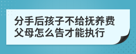 分手后孩子不給撫養(yǎng)費父母怎么告才能執(zhí)行