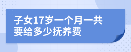 子女17歲一個(gè)月一共要給多少撫養(yǎng)費(fèi)
