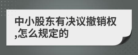 中小股東有決議撤銷權(quán),怎么規(guī)定的