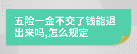 五險(xiǎn)一金不交了錢能退出來嗎,怎么規(guī)定
