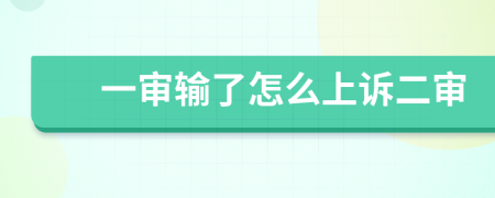 一審輸了怎么上訴二審