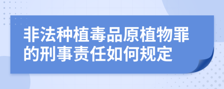 非法種植毒品原植物罪的刑事責(zé)任如何規(guī)定