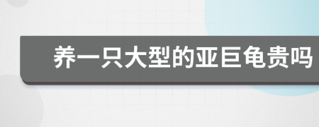 養(yǎng)一只大型的亞巨龜貴嗎