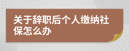 關(guān)于辭職后個人繳納社保怎么辦