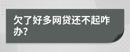 欠了好多網(wǎng)貸還不起咋辦？