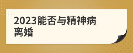 2023能否與精神病離婚
