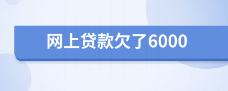 網(wǎng)上貸款欠了6000