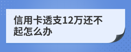 信用卡透支12萬還不起怎么辦