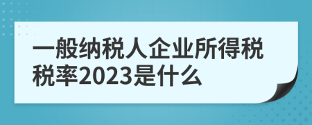 一般納稅人企業(yè)所得稅稅率2023是什么