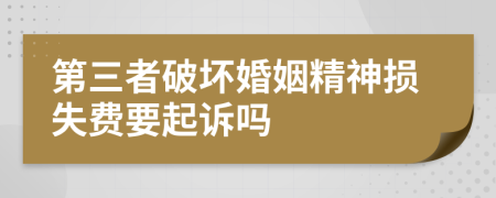 第三者破壞婚姻精神損失費(fèi)要起訴嗎
