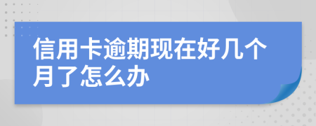 信用卡逾期現(xiàn)在好幾個(gè)月了怎么辦