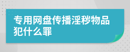 專用網盤傳播淫穢物品犯什么罪