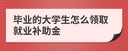畢業(yè)的大學(xué)生怎么領(lǐng)取就業(yè)補(bǔ)助金