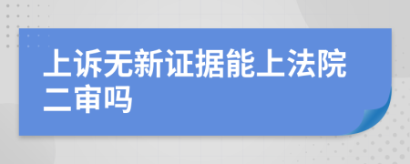 上訴無(wú)新證據(jù)能上法院二審嗎
