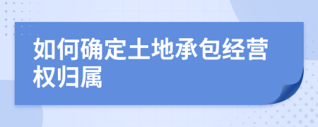 如何確定土地承包經(jīng)營權(quán)歸屬