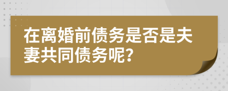 在離婚前債務(wù)是否是夫妻共同債務(wù)呢？