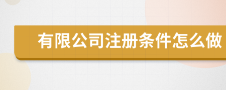 有限公司注冊條件怎么做