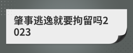 肇事逃逸就要拘留嗎2023