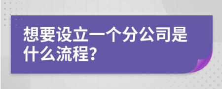 想要設(shè)立一個分公司是什么流程？