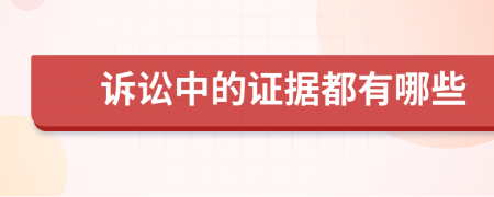 訴訟中的證據(jù)都有哪些