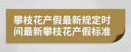 攀枝花產(chǎn)假最新規(guī)定時(shí)間最新攀枝花產(chǎn)假標(biāo)準(zhǔn)