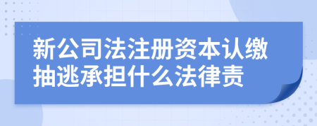 新公司法注冊資本認(rèn)繳抽逃承擔(dān)什么法律責(zé)