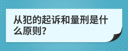 從犯的起訴和量刑是什么原則？