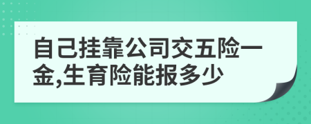 自己掛靠公司交五險一金,生育險能報多少