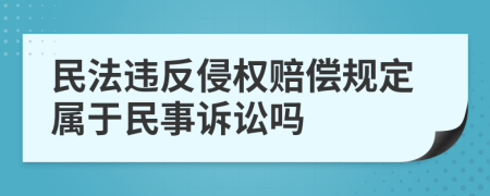 民法違反侵權(quán)賠償規(guī)定屬于民事訴訟嗎
