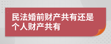 民法婚前財(cái)產(chǎn)共有還是個(gè)人財(cái)產(chǎn)共有
