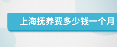 上海撫養(yǎng)費(fèi)多少錢一個(gè)月