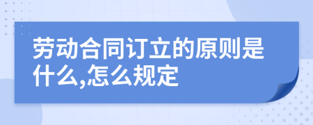 勞動(dòng)合同訂立的原則是什么,怎么規(guī)定