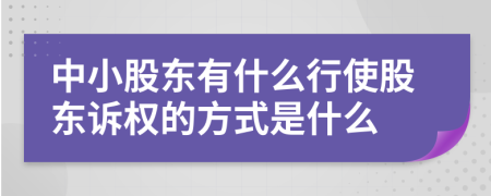 中小股東有什么行使股東訴權(quán)的方式是什么