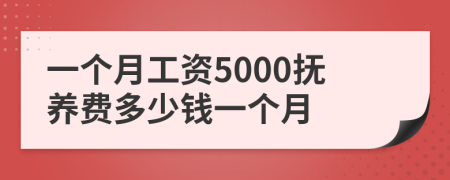 一個(gè)月工資5000撫養(yǎng)費(fèi)多少錢一個(gè)月