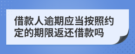 借款人逾期應(yīng)當(dāng)按照約定的期限返還借款嗎